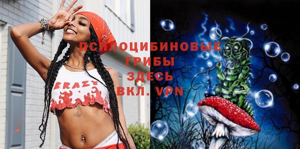 прущая мука Магас