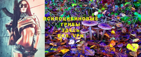 прущая мука Магас