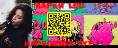 PSILOCYBIN Гатчина