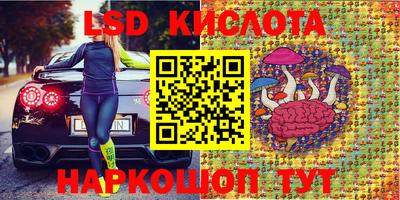 PSILOCYBIN Гатчина