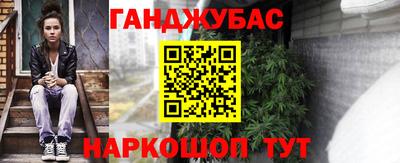 PSILOCYBIN Гатчина