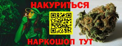 PSILOCYBIN Гатчина
