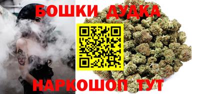 PSILOCYBIN Гатчина