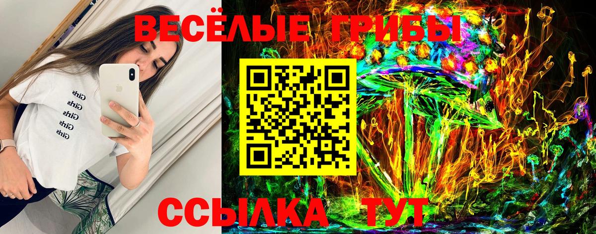 Псилоцибиновые грибы Cubensis Дубна
